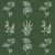 Vives Root Arvum-4 Green