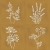 Vives Root Arvum-4 Ocher