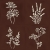 Vives Root Arvum-4 Garnet