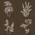 Vives Root Arvum-4 Brown