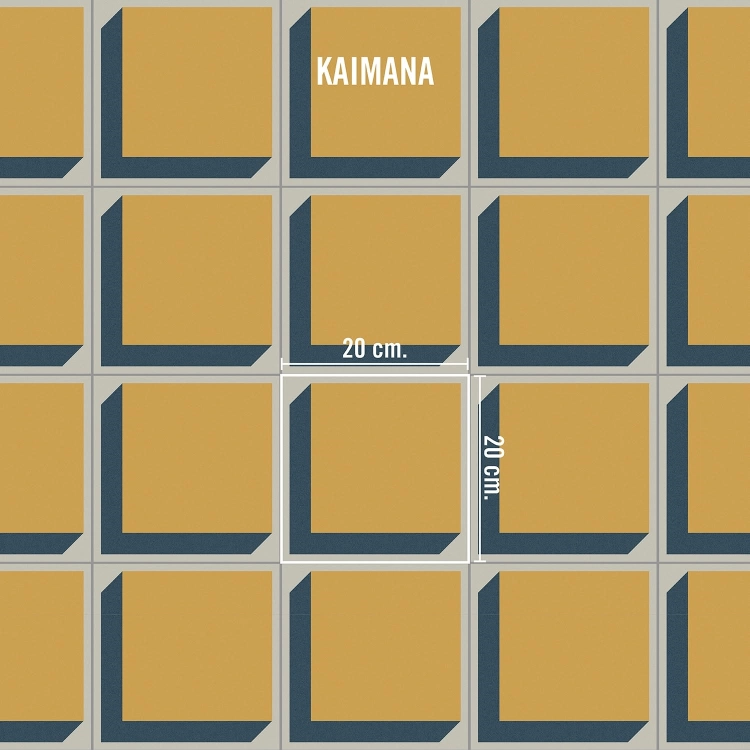 Vives Surf Kaimana
