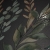 Fanal Albi Botanica