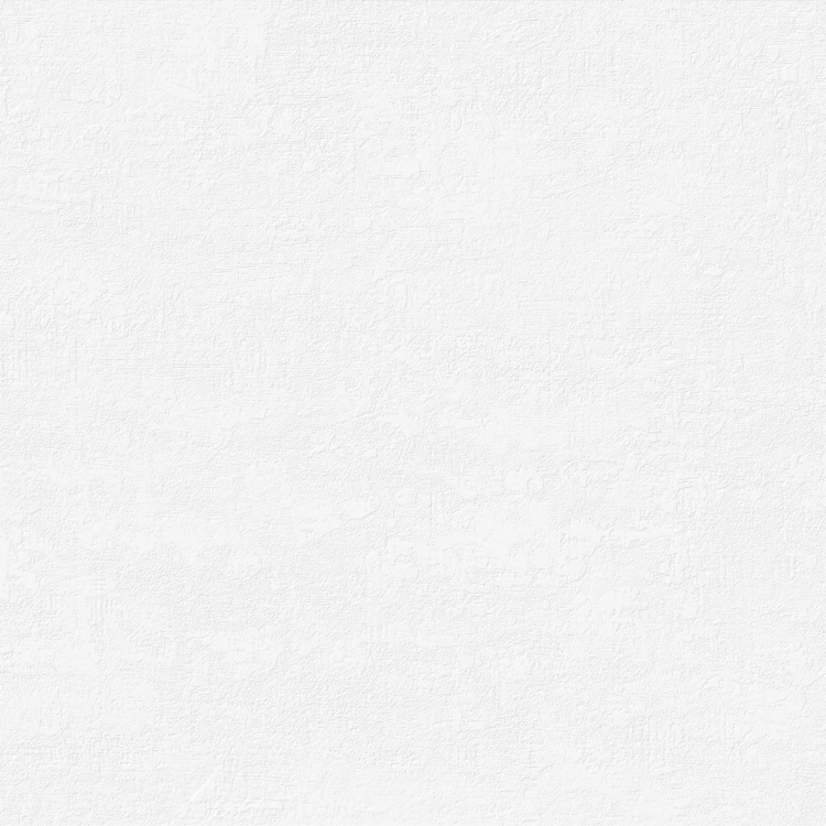 Saloni Absolute Blanco Mate