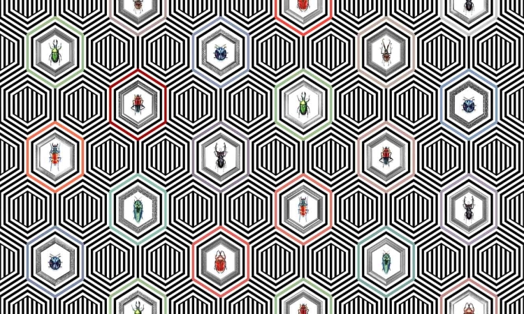 Art. 35 0505 02
