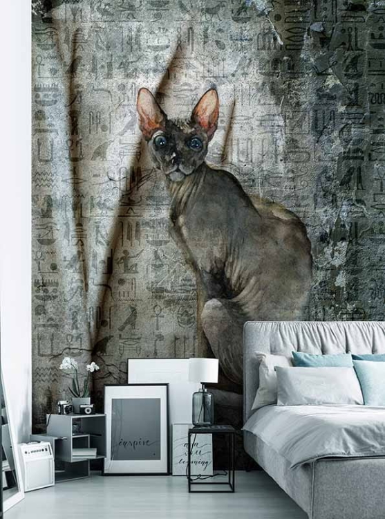 Kot Sfinks hieroglify tapeta na fizelinie