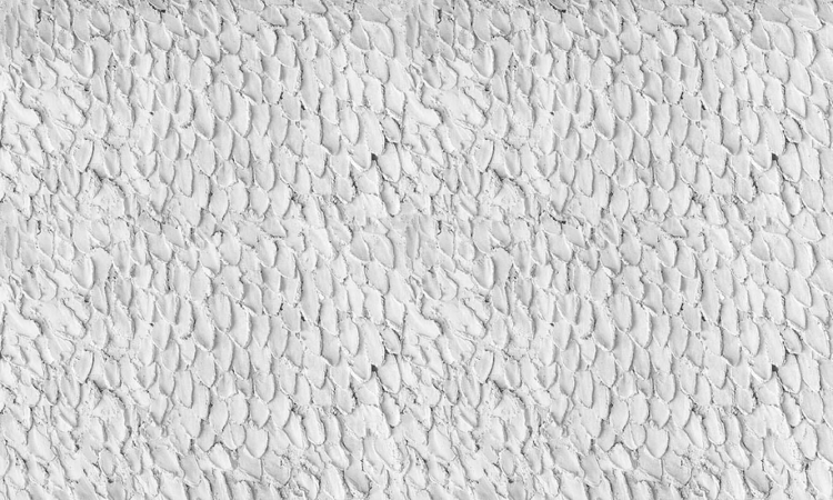 Art. 35 0401 00