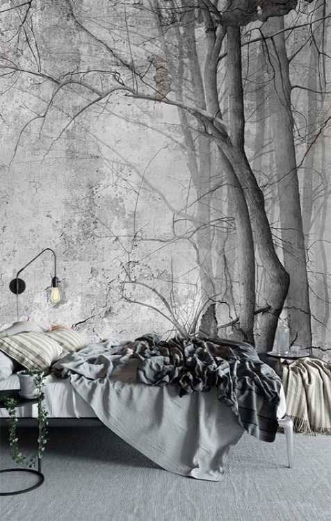 Foggy Forest tapeta mgliste drzewa fizelina