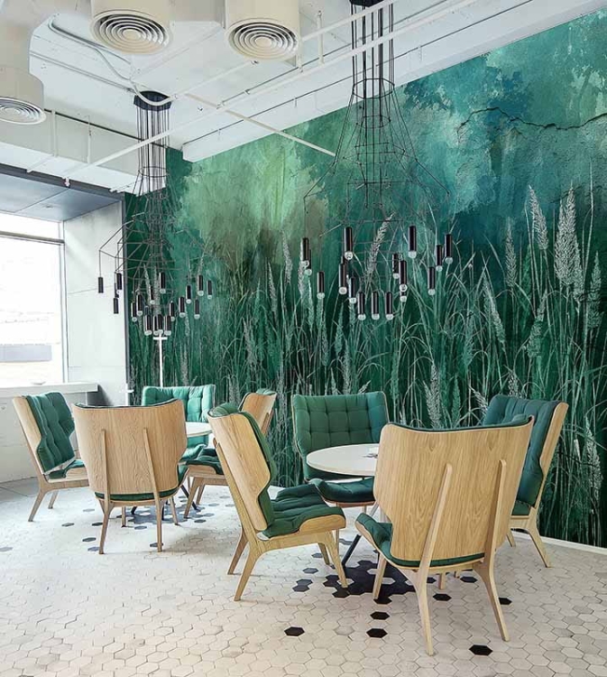 Trzciny trawy tapeta ścienna roślinna